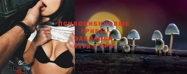 стаф Пролетарск