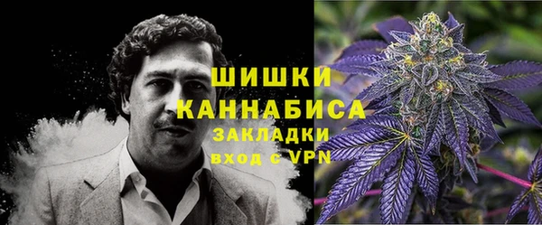 PSILOCYBIN Абинск