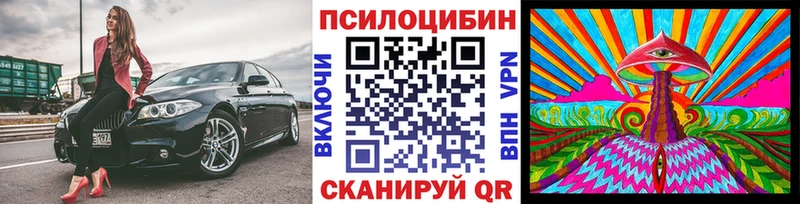 сайты даркнета телеграм  Духовщина  Галлюциногенные грибы Cubensis  где можно купить наркотик 